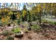 12 Wood Street, Tenterfield NSW 2372