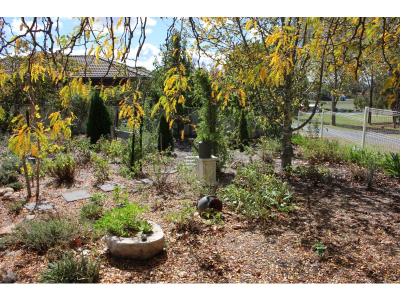 12 Wood Street, Tenterfield NSW 2372