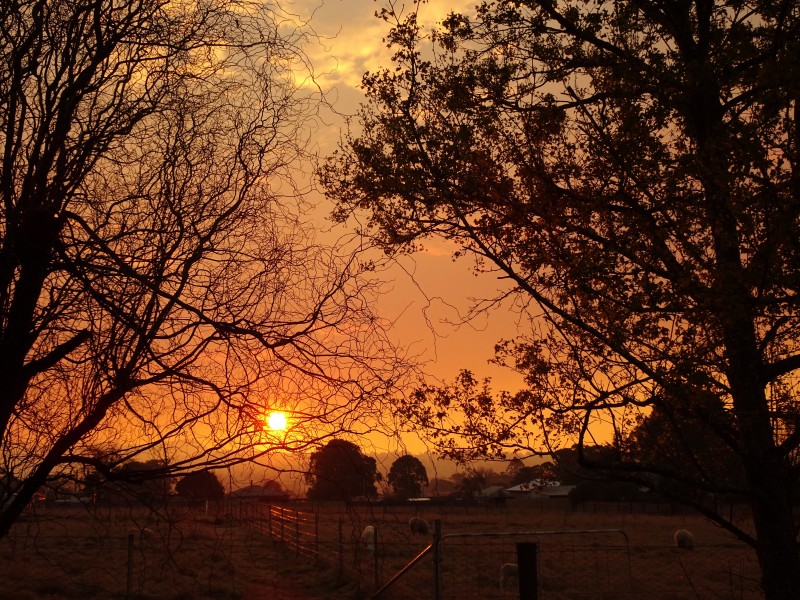 12 Wood Street, Tenterfield NSW 2372