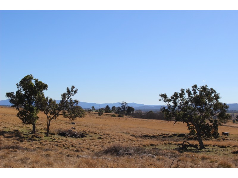 423 Bellevue Road, Tenterfield NSW 2372