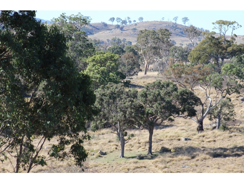 423 Bellevue Road, Tenterfield NSW 2372