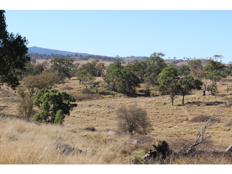 423 Bellevue Road, Tenterfield NSW 2372