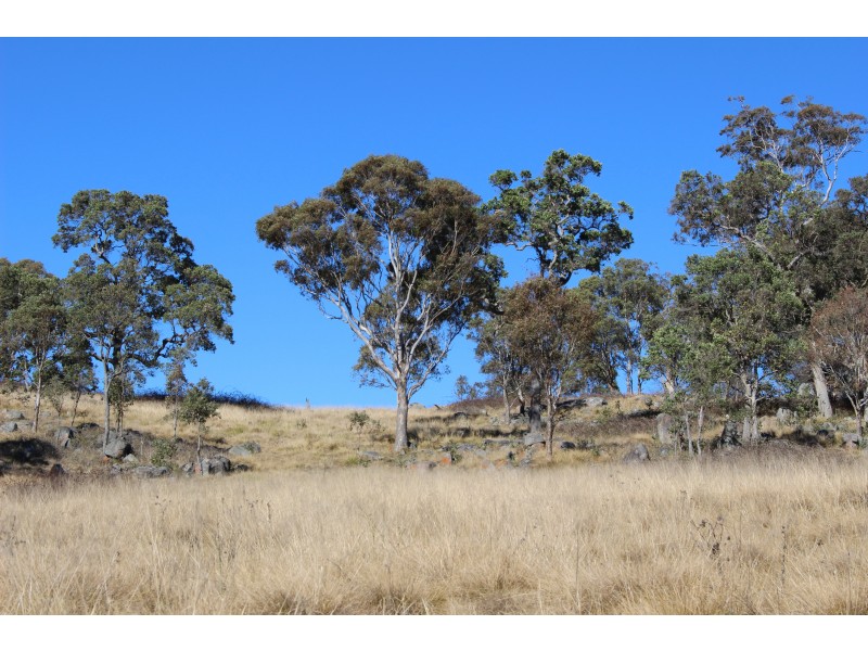 423 Bellevue Road, Tenterfield NSW 2372