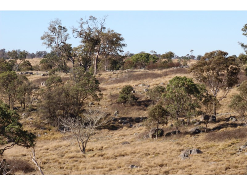 423 Bellevue Road, Tenterfield NSW 2372