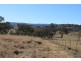 423 Bellevue Road, Tenterfield NSW 2372