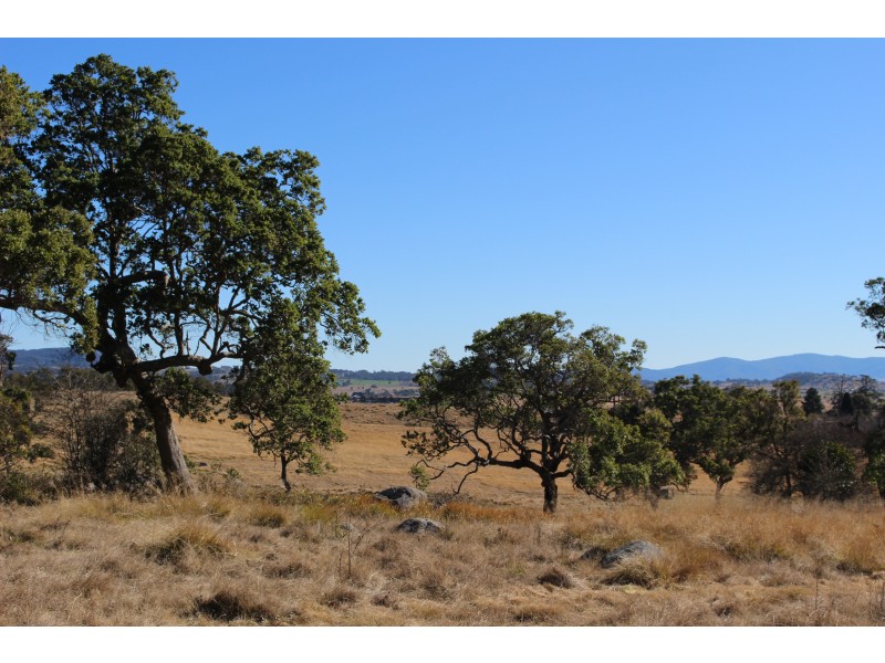 423 Bellevue Road, Tenterfield NSW 2372