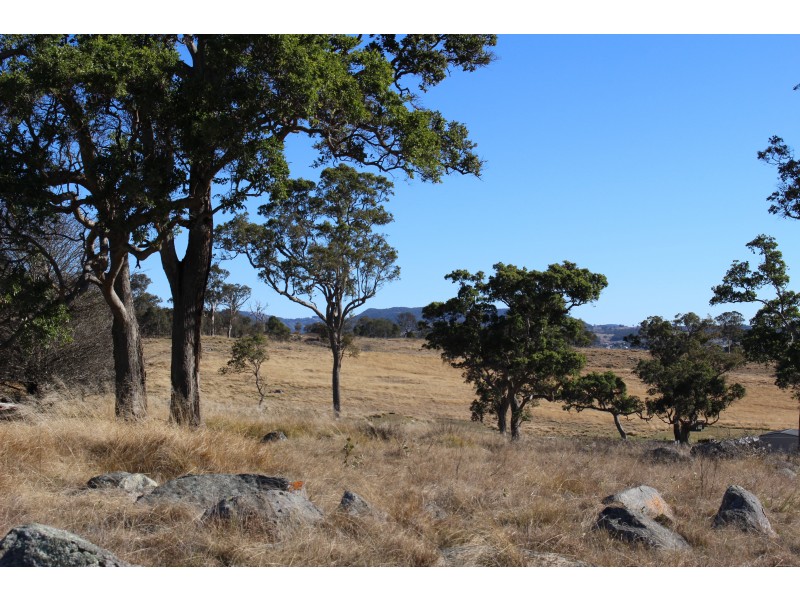 423 Bellevue Road, Tenterfield NSW 2372