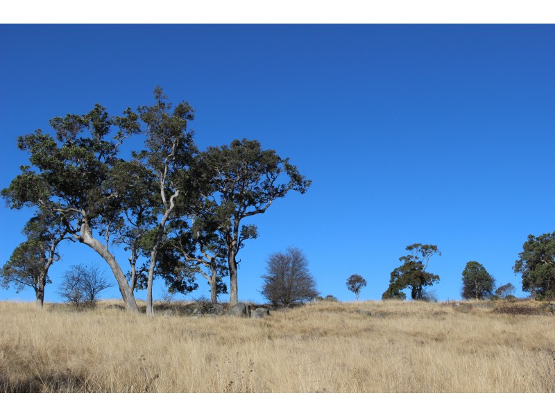 423 Bellevue Road, Tenterfield NSW 2372