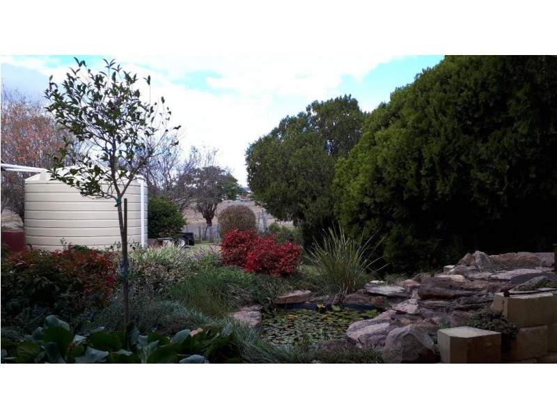 9 Drummond Street, Tenterfield NSW 2372