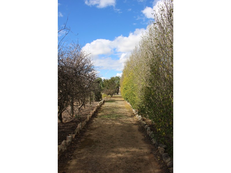 9 Drummond Street, Tenterfield NSW 2372