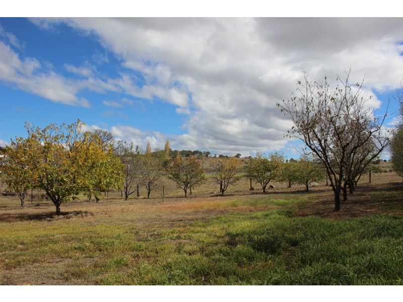 9 Drummond Street, Tenterfield NSW 2372