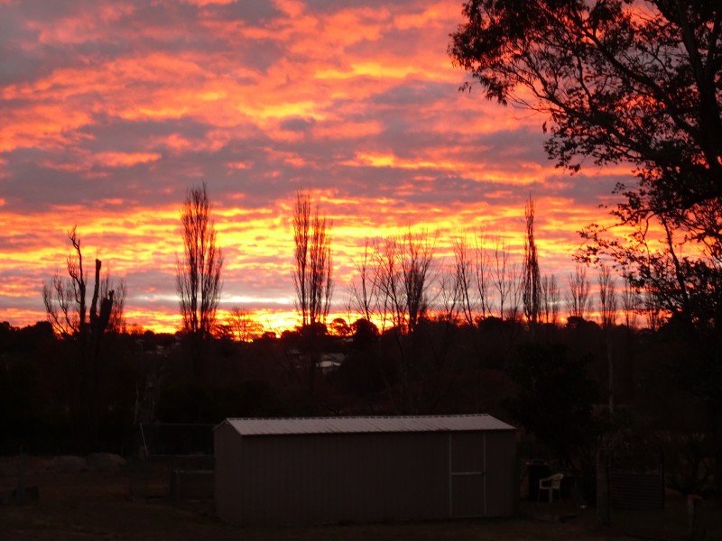 22/208 Logan Street, Tenterfield NSW 2372