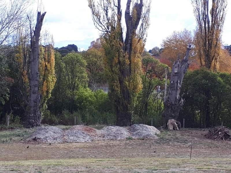 22/208 Logan Street, Tenterfield NSW 2372