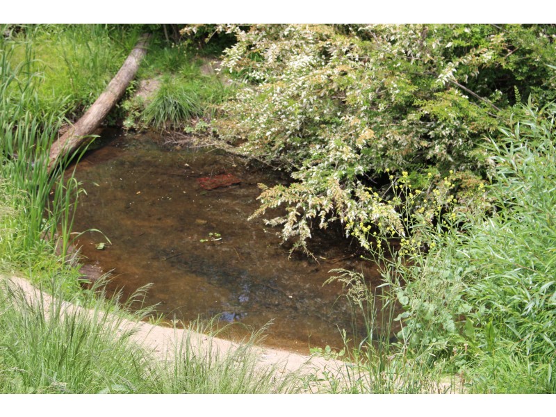 22/208 Logan Street, Tenterfield NSW 2372