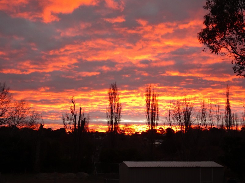 22/208 Logan Street, Tenterfield NSW 2372