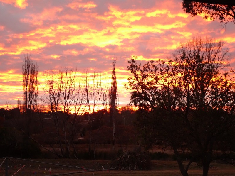 22/208 Logan Street, Tenterfield NSW 2372