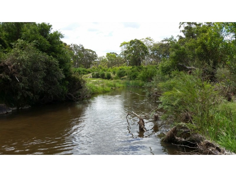 43/1026 New England Highway, Tenterfield NSW 2372