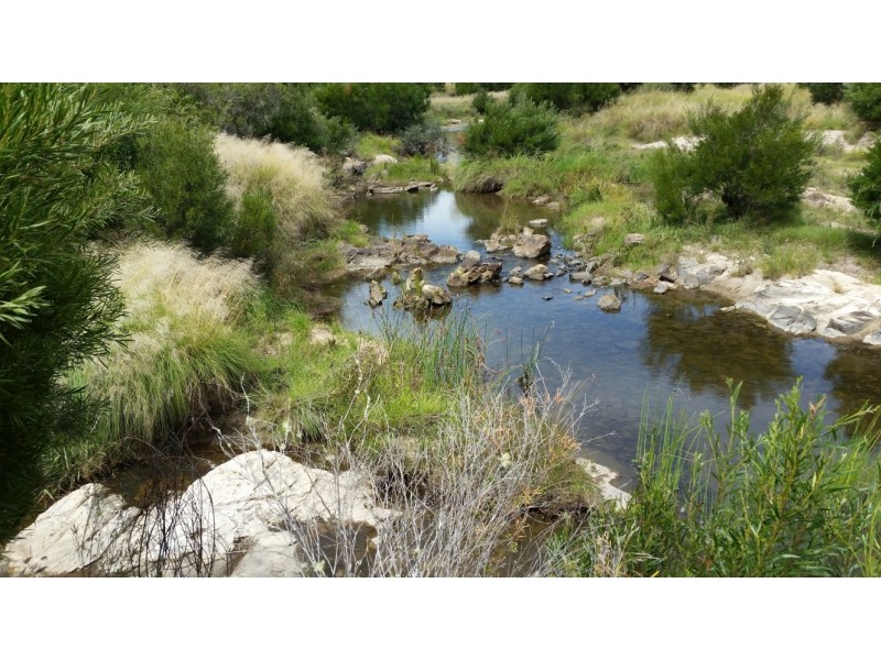 43/1026 New England Highway, Tenterfield NSW 2372