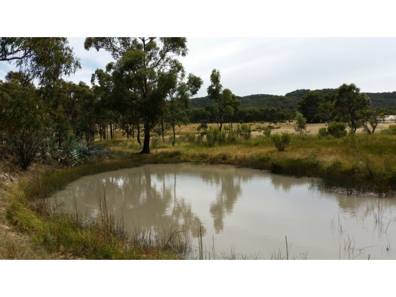 43/1026 New England Highway, Tenterfield NSW 2372