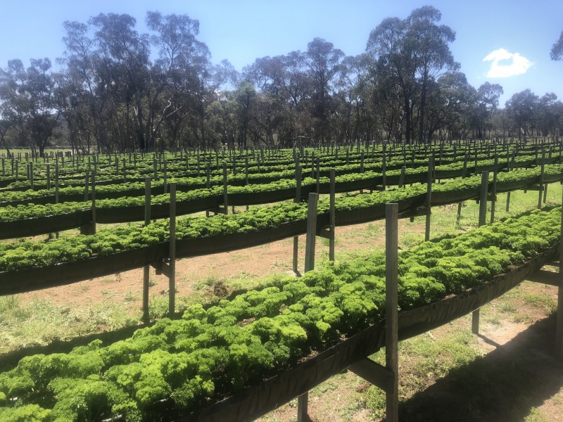 3 McGrath Lane, Applethorpe QLD 4378