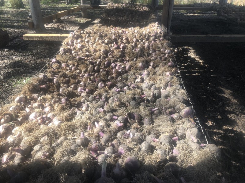 3 McGrath Lane, Applethorpe QLD 4378