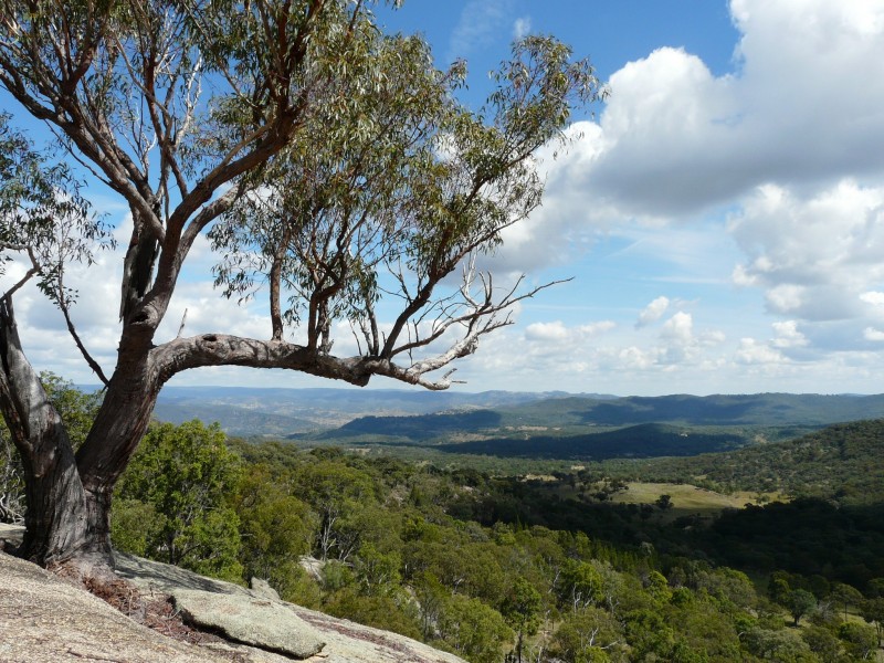Lot 38 Gunyah Road, Tenterfield NSW 2372