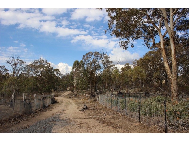Lot 38 Gunyah Road, Tenterfield NSW 2372