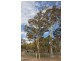Lot 38 Gunyah Road, Tenterfield NSW 2372