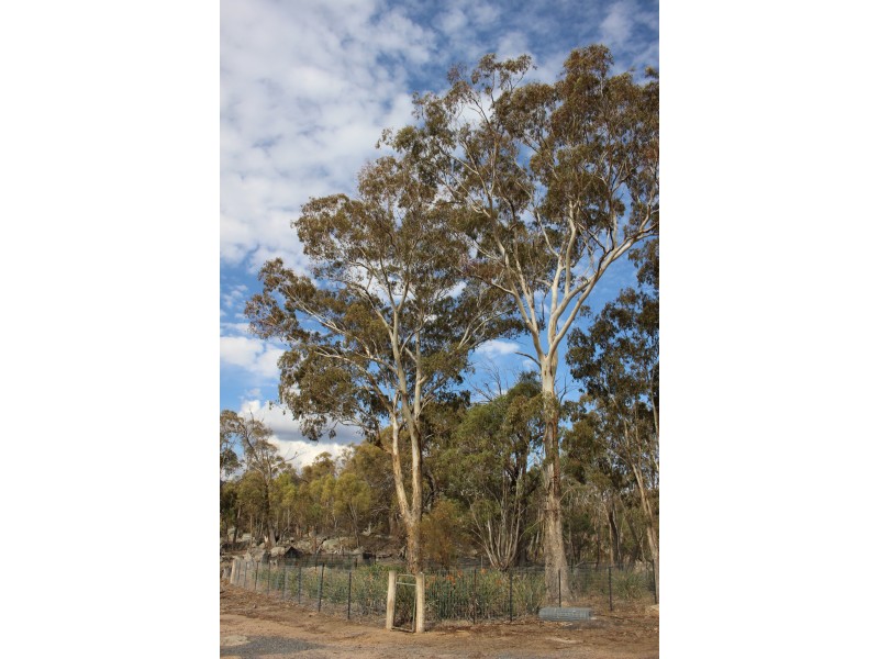 Lot 38 Gunyah Road, Tenterfield NSW 2372