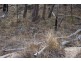 Lot 38 Gunyah Road, Tenterfield NSW 2372
