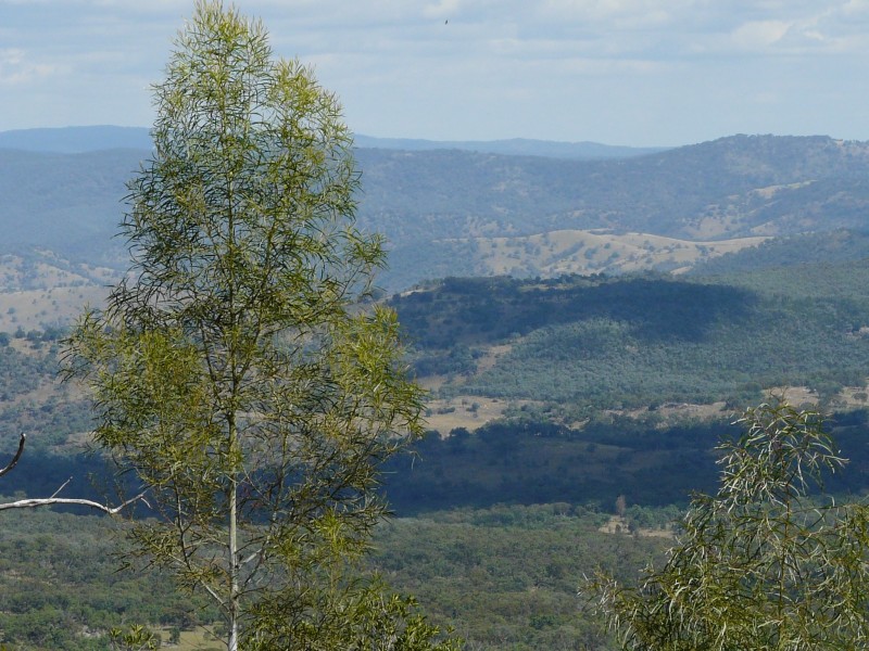 Lot 38 Gunyah Road, Tenterfield NSW 2372