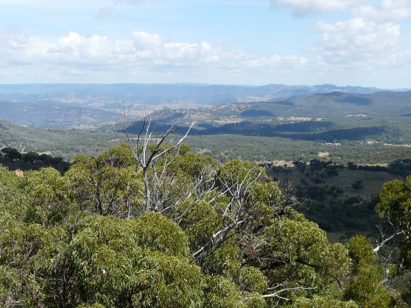 Lot 38 Gunyah Road, Tenterfield NSW 2372