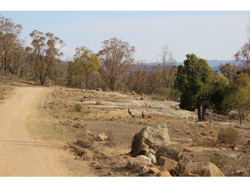 Lot 38 Gunyah Road, Tenterfield NSW 2372