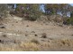 Lot 38 Gunyah Road, Tenterfield NSW 2372
