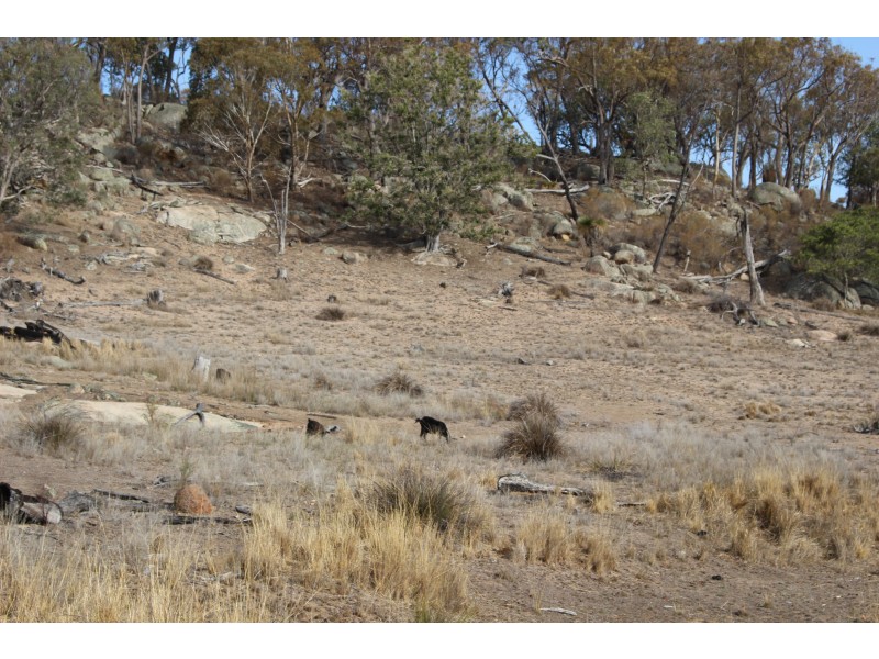 Lot 38 Gunyah Road, Tenterfield NSW 2372