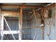 66 Billirimba Road, Tenterfield NSW 2372