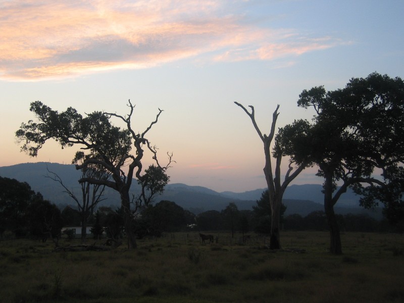 66 Billirimba Road, Tenterfield NSW 2372