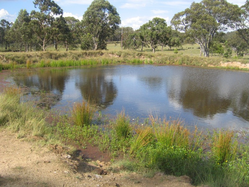 66 Billirimba Road, Tenterfield NSW 2372