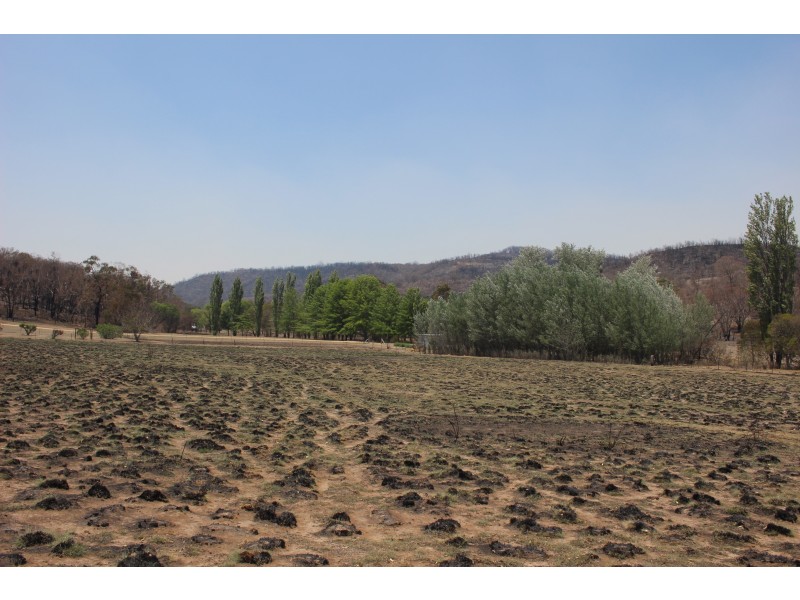 66 Billirimba Road, Tenterfield NSW 2372