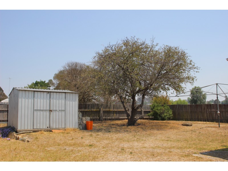 74 Molesworth Street, Tenterfield NSW 2372