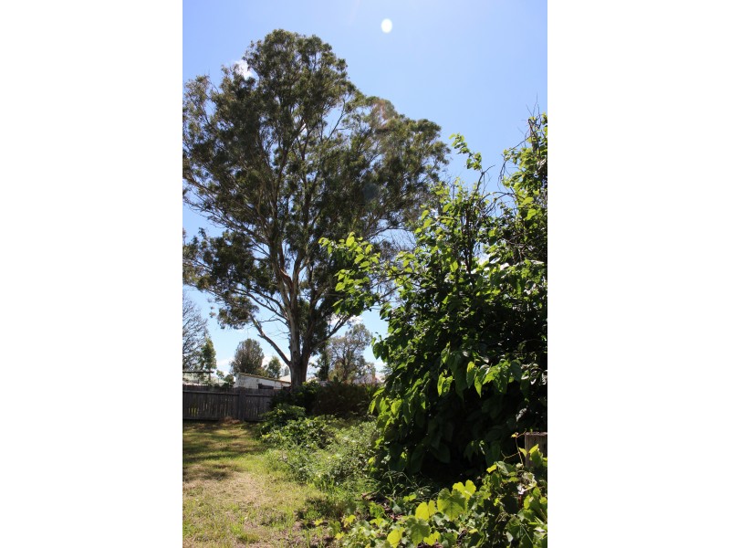 93 Scott Street, Tenterfield NSW 2372