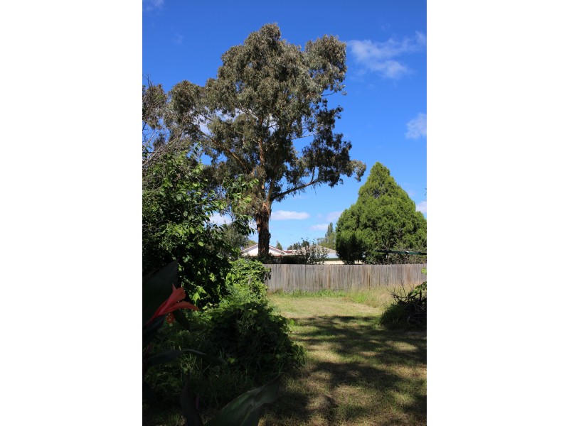 93 Scott Street, Tenterfield NSW 2372