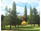 87 Petre, Tenterfield NSW 2372