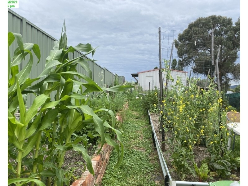 87 Petre, Tenterfield NSW 2372