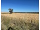 Warialda NSW 2402