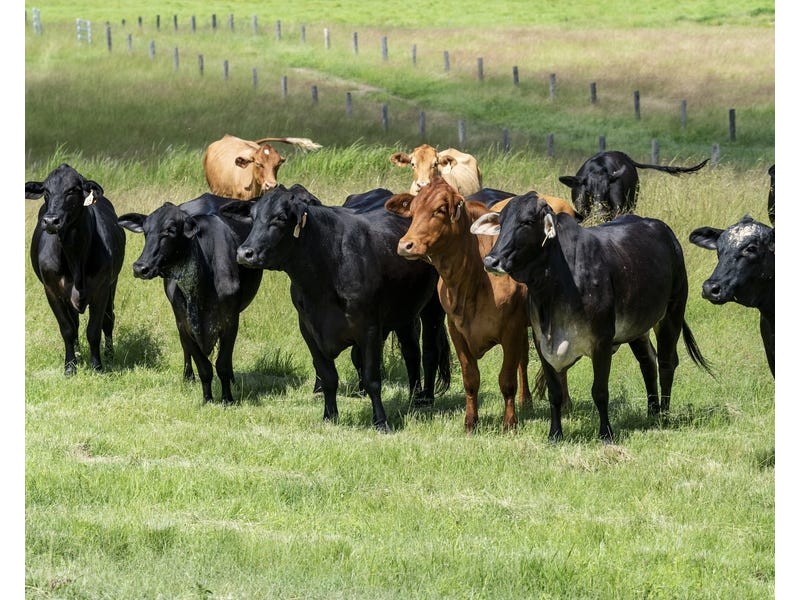 200 Dunford Road West, Yerra QLD 4650