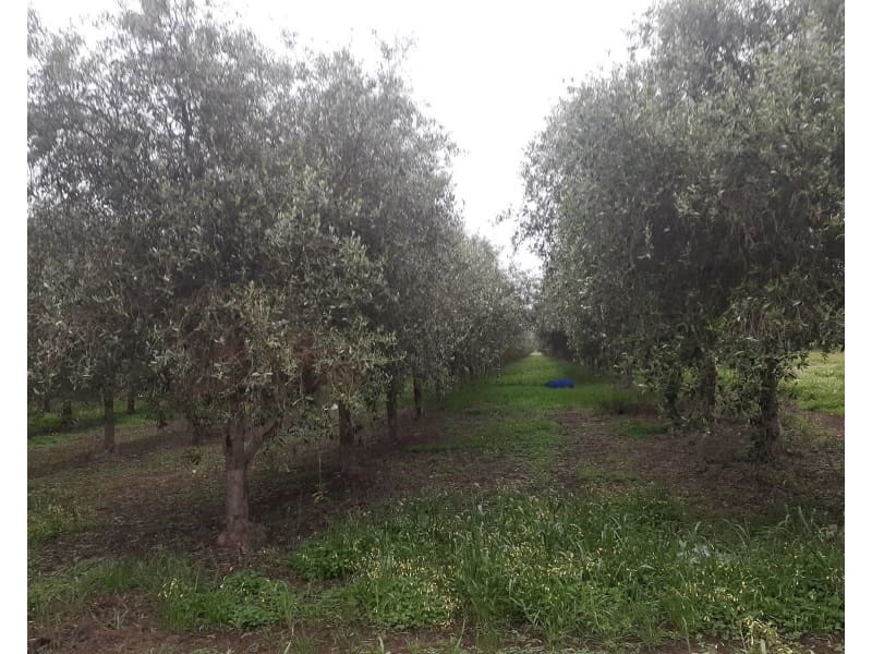 Lot 354 Rogers Road, Sellicks Hill SA 5174