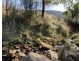 Eaglehawk Neck TAS 7179
