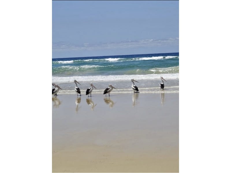 2/22 Tristania Drive, Marcus Beach QLD 4573