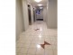 148/418 pitt st, Sydney NSW 2000